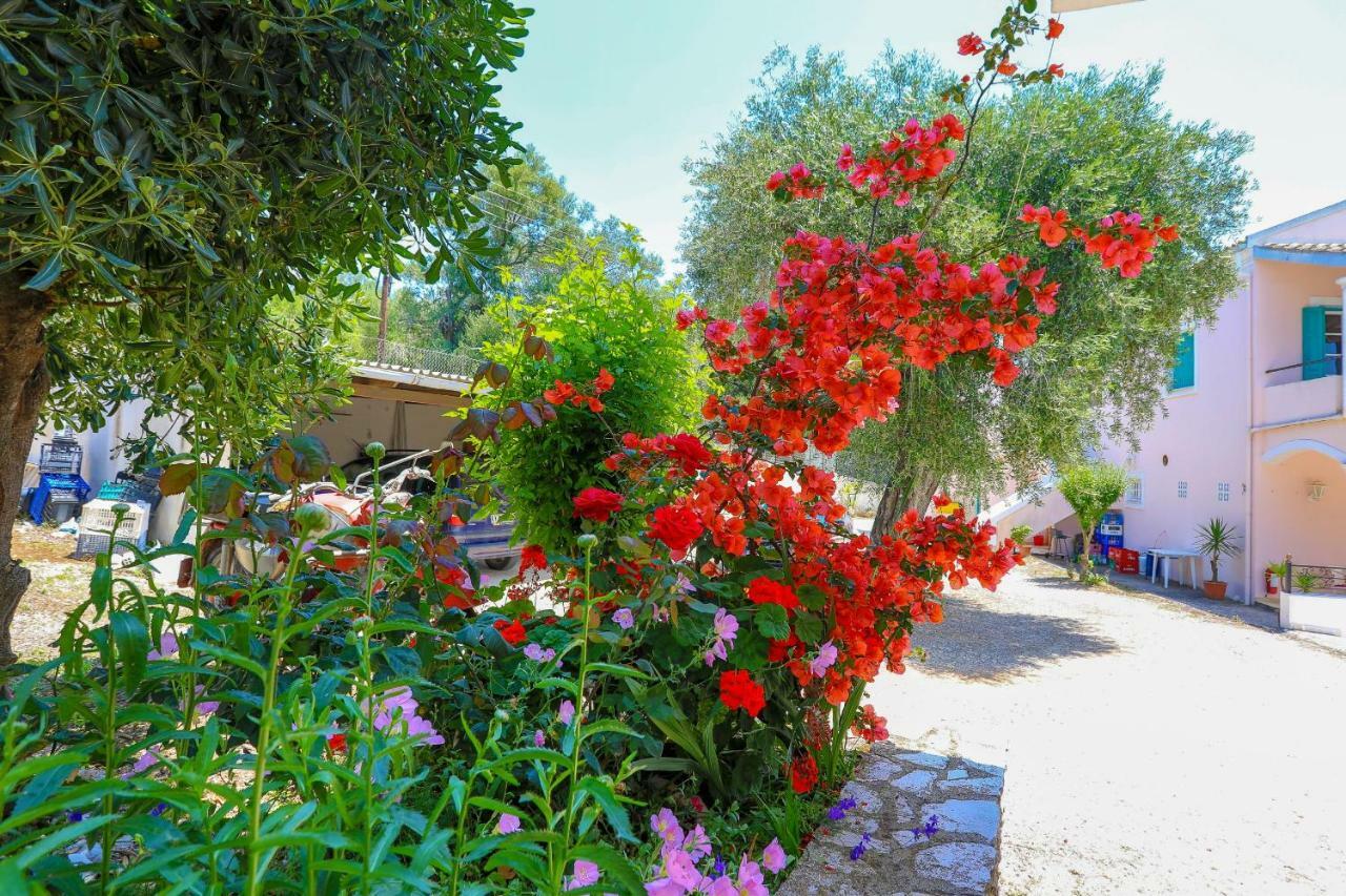 Fran Agios Spyridon (Corfu)